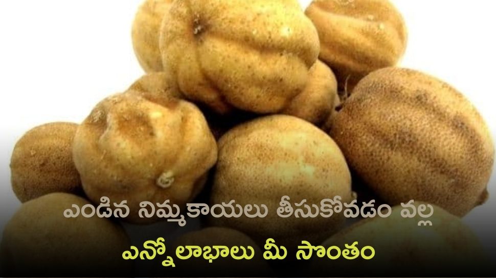 Health Benefits Of Dried Lemons Must Know The Uses Of This Lemon