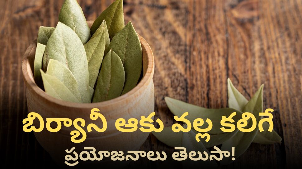 Biryani Leaves: మూత్ర సమస్యలకు చెక్ పెట్టడంలో బిర్యానీ ఆకు!