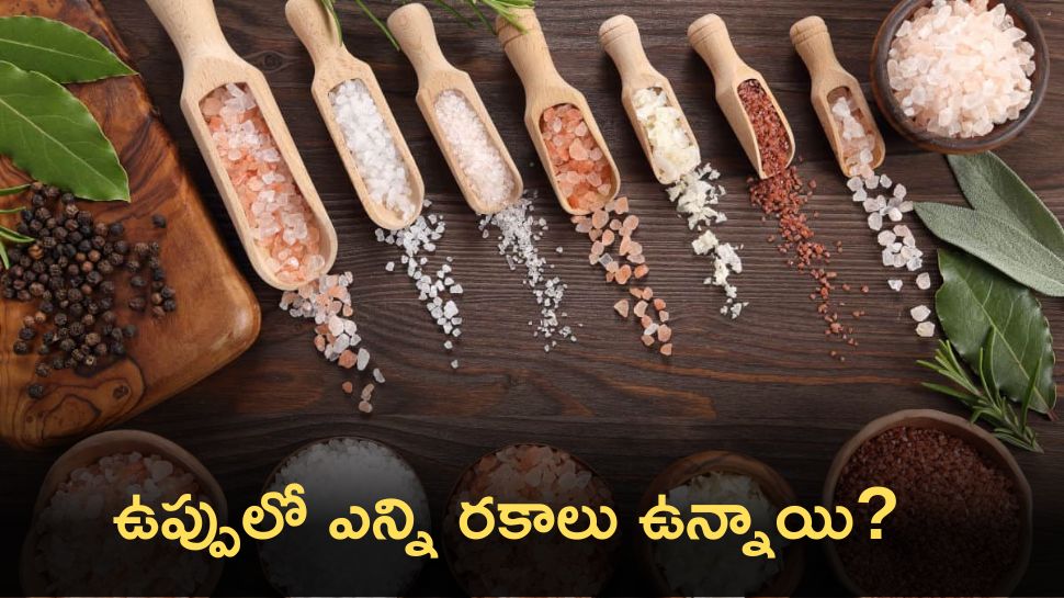 How Many Types Of Salts Are There And Which Salt Is Healthy For Your