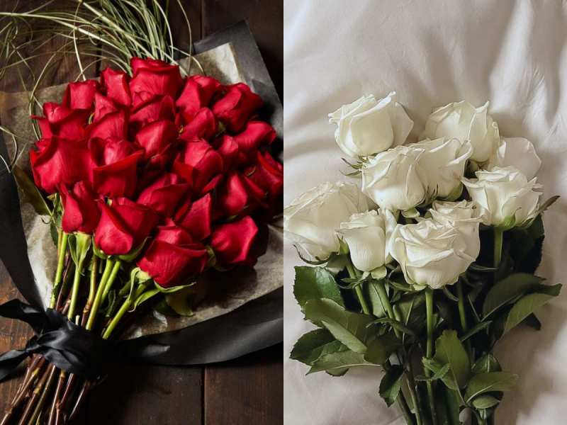 Rose Flower Meaning In Telugu Best Flower Site