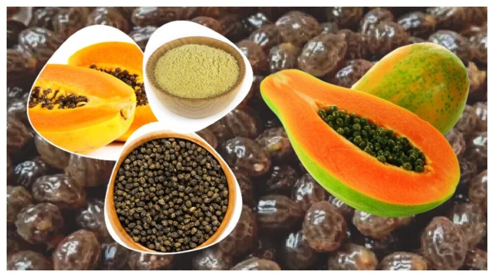 Papaya Seeds Health benefits: ఈ గింజలతో గుండెజబ్బులు.. కేన్సర్ దూరం..కానీ, ఇలానే తినాలట..