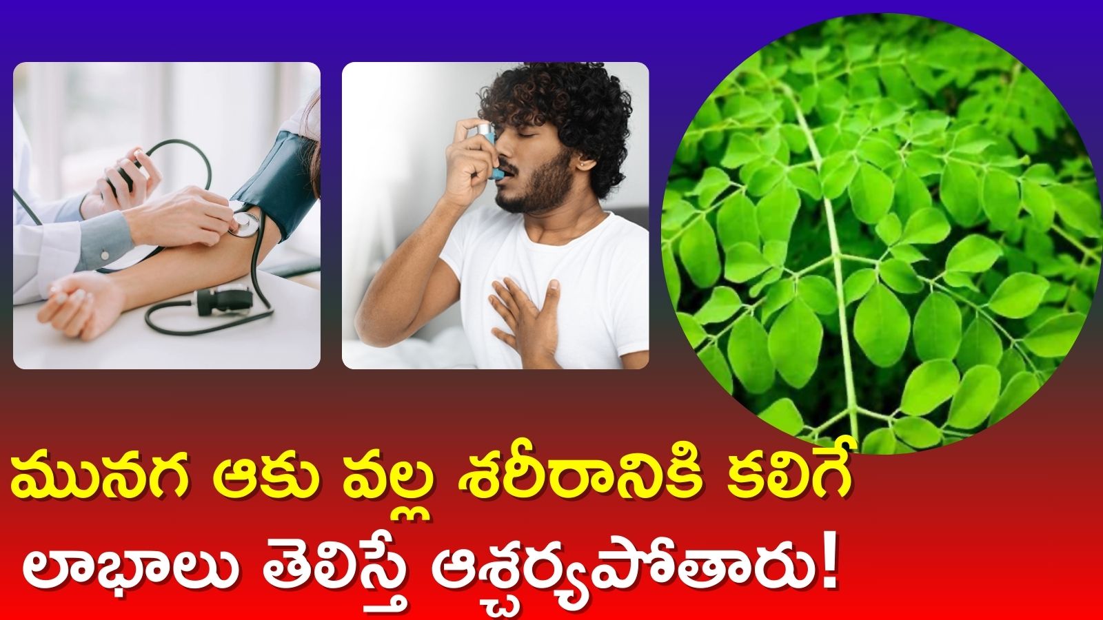 Drumstick Leaves: మునగ ఆకు వల్ల శరీరానికి కలిగే లాభాలు తెలిస్తే ఆశ్చర్యపోతారు!