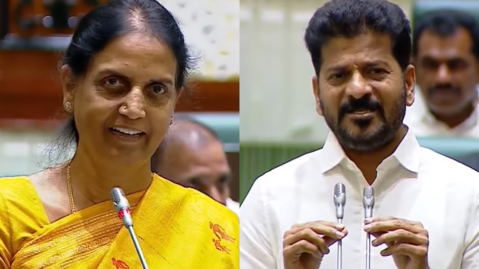 CM Revanth Reddy: అసెంబ్లీలో సబితకు చుక్కలు.. అక్కా.. అంటూనే కడిగేసిన సీఎం రేవంత్ రెడ్డి...