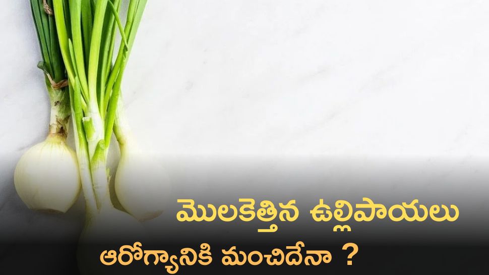 What Are The Health Benefits Of Taking Spring Onions In Your Daily Life