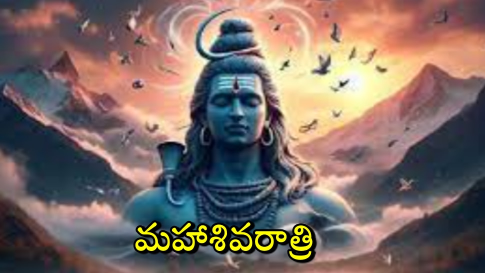 Surya Shani And Shukra Conjunction Will Make Trigrahi Yog On   299487 Maha Shivarathri 