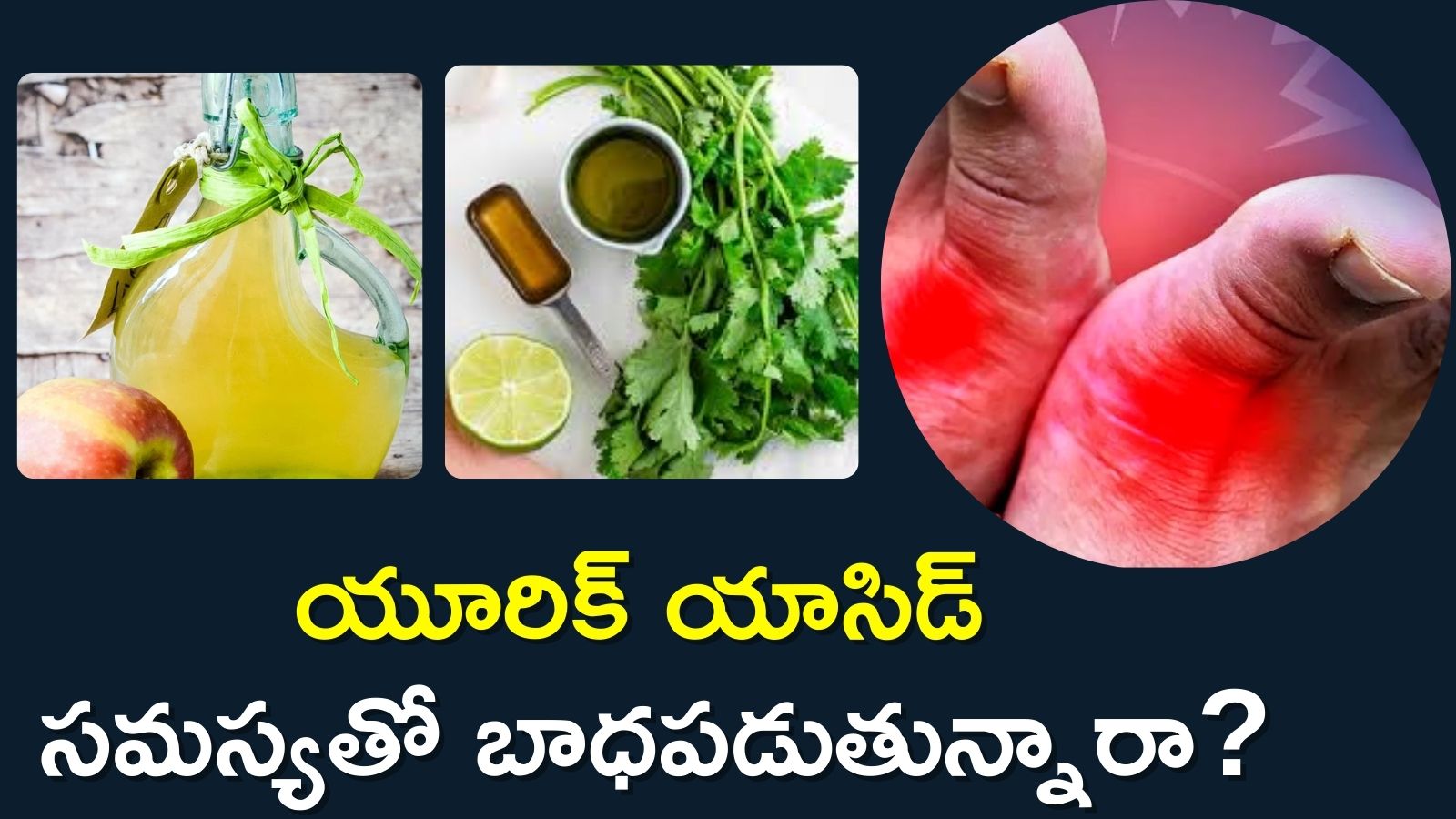 High Uric Acid Control: యూరిక్ యాసిడ్ సమస్యతో బాధపడుతున్నారా? ప్రతిరోజు అల్పాహారంలో వీటిని తీసుకోండి చాలు..