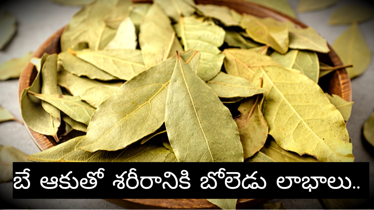 Bay Leaf Health Benefits: బే ఆకుతో శరీరానికి బోలెడు లాభాలు.. ఈ అనారోగ్య సమస్యలకు చెక్‌!