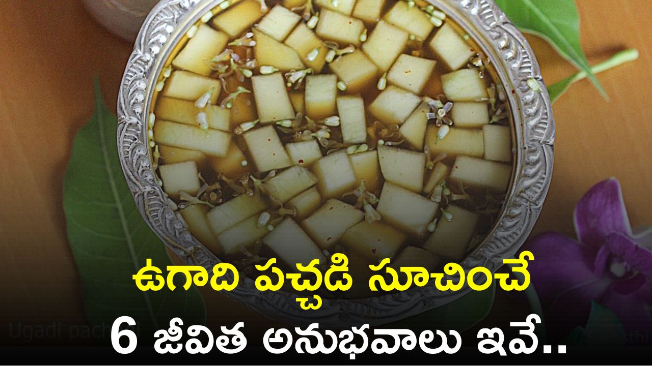 Ugadi Pachadi Importance 2024: ఉగాది పచ్చడి సూచించే 6 జీవిత అనుభవాలు ఇవే..