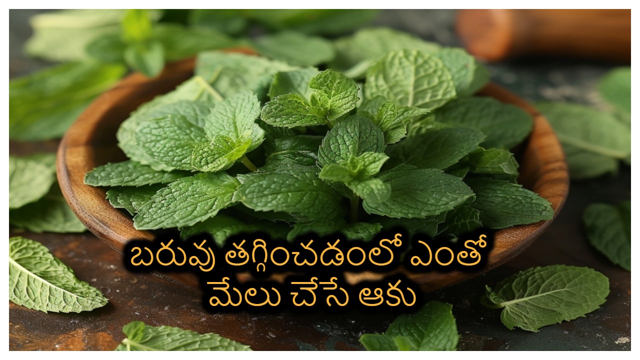 Mint Leaves Helps To Loose The Weight Must Try This In Your Diet