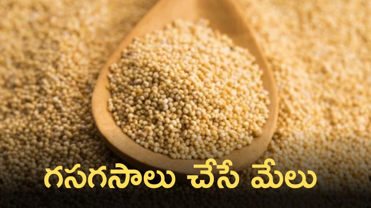 Poppy Seeds Are Good For Diabetes Heart Diseases Bone Health And Other
