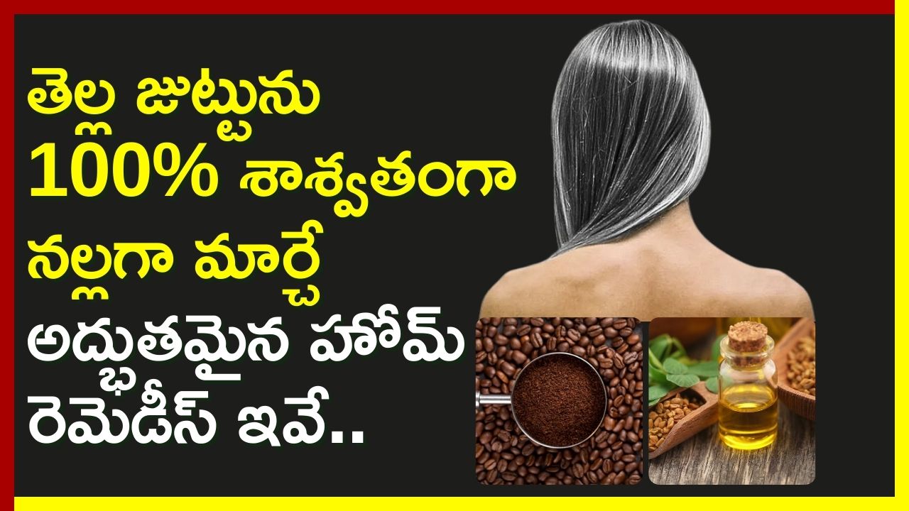 Premature White Hair: తెల్ల జుట్టును 100% శాశ్వతంగా నల్లగా మార్చే అద్భుతమైన హోమ్ రెమెడీస్ ఇవే..