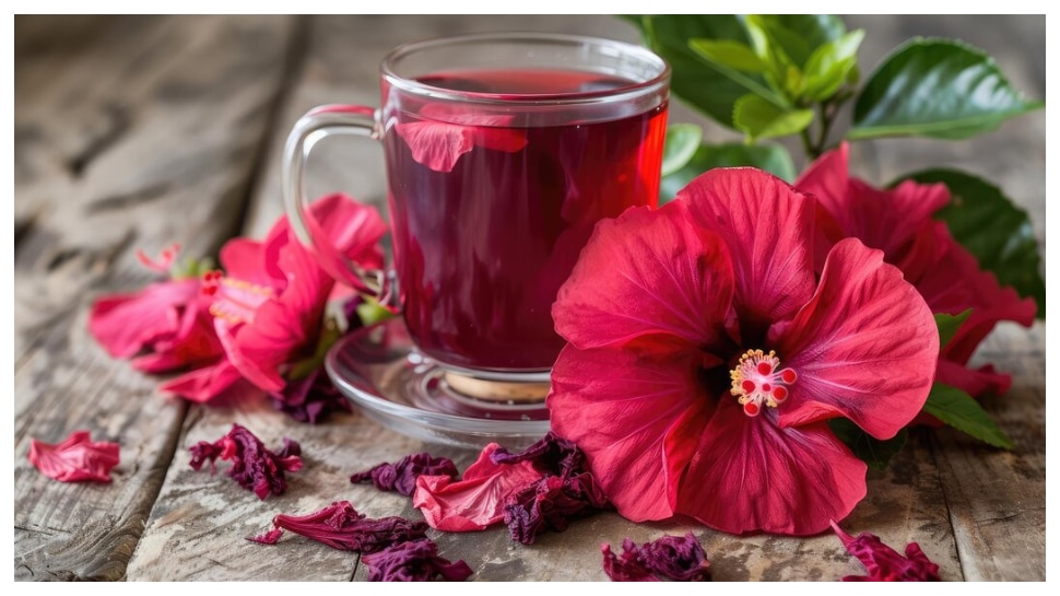 Hibiscus Tea Benefits: మందార టీ అంటే ఏమిటి? దీంతో ఏ ఆరోగ్య ప్రయోజనాలు ఉంటాయి?