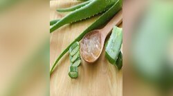 Healthy lifestyle: కలబందను ఇలా రాస్తే.. రెండు రోజుల్లో మీ ముఖం చంద్రబింబంలా మెరిసిపోతుంది..