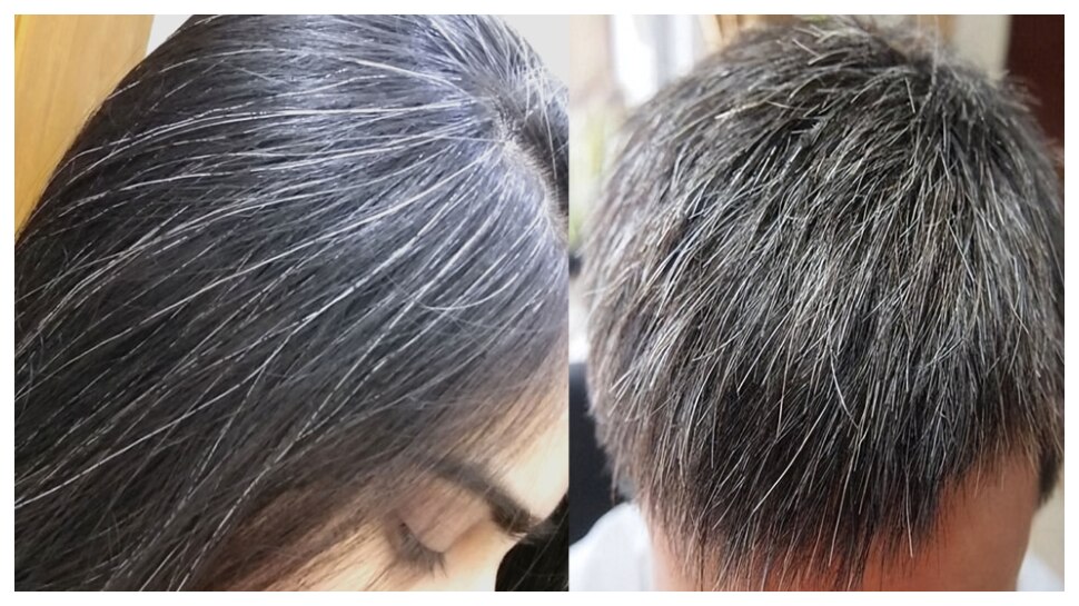 Gray Hair Problems: వెంట్రుకలు తెల్లబడకుండా ఉండాలంటే ఈ చిన్న చిట్కా ట్రై చేయండి..