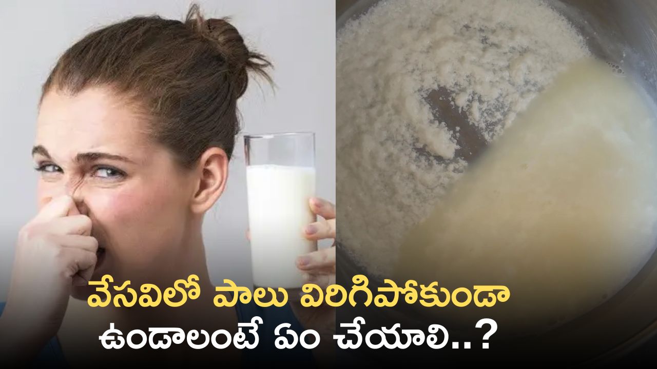 What Should Be Done To Prevent Milk From Spoiling In Summer Tips For