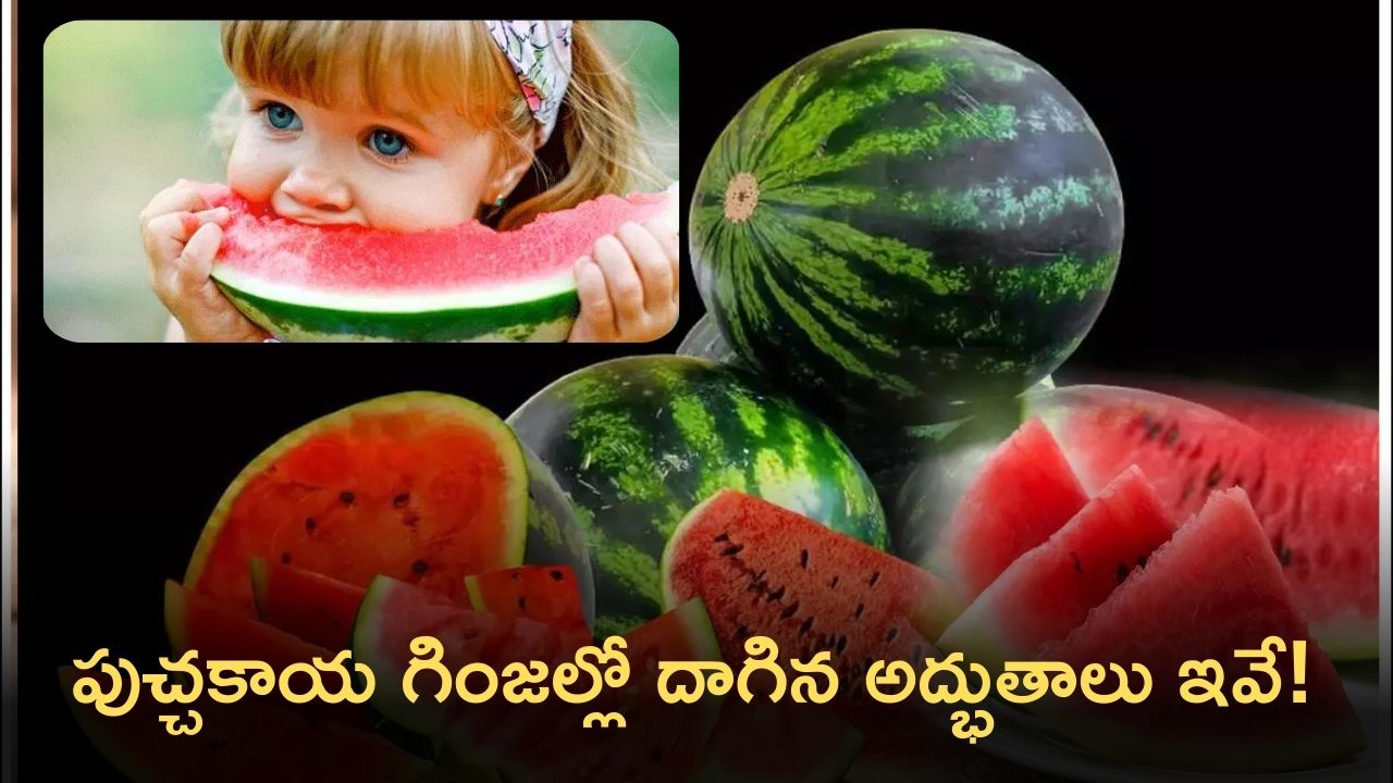Water Melon Seeds: పుచ్చకాయ గింజల్లో దాగిన అద్భుతాలు ఇవే!
