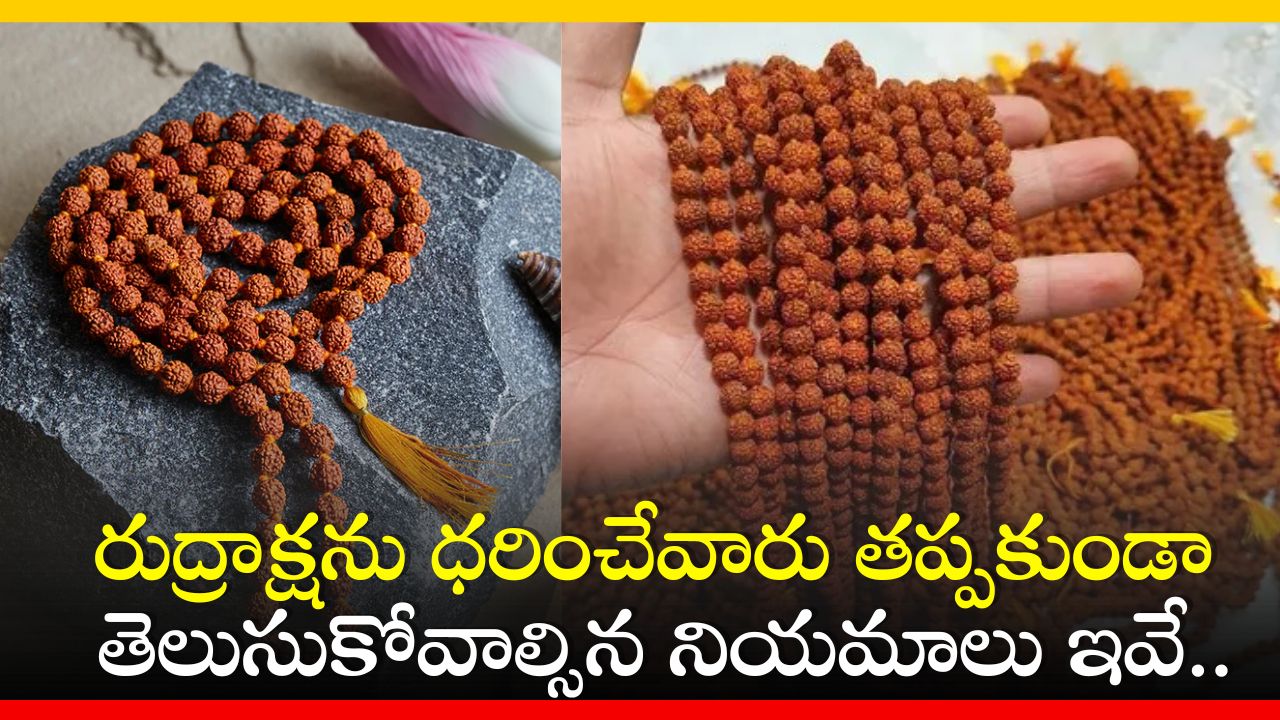 Rudraksha: రుద్రాక్షను ధరించేవారు తప్పకుండా తెలుసుకోవాల్సిన నియమాలు ఇవే..