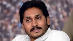 Jagan Tsunami: ఏపీలో అధికారం ఎవరిది, సోషల్ మీడియాలో ట్రెండ్ అవుతున్న జగన్ సునామీ