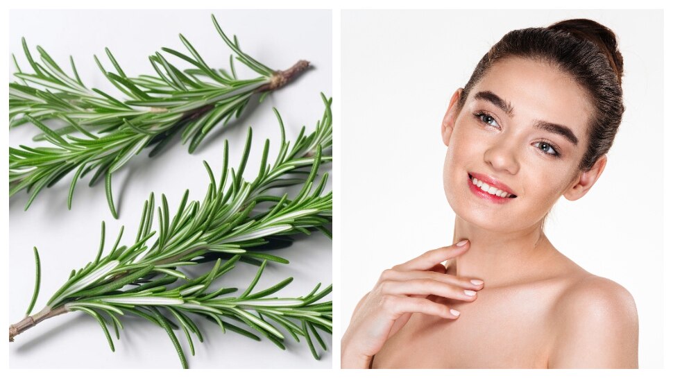 Rosemary for Glowing skin: రోజ్మెరీతో మృదువైన, మెరిసే ముఖం మీ సొంతం.. ఇలా అప్లై చేయండి..