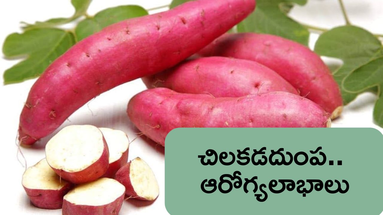 Sweet Potato: తీయటి చిలకడదుంప.. లాభాలు తెలుస్తే అసలు వదలిపెట్టారు..!