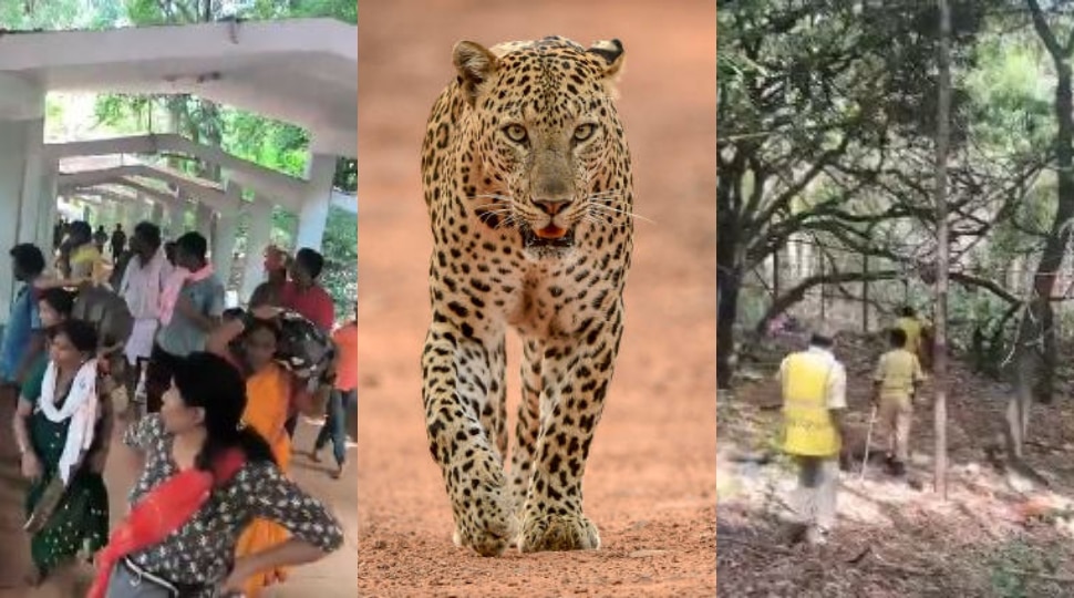 Leopard Scare: తిరుమల నడకమార్గంలో హైటెన్షన్.. మెట్ల వద్ద రెండు చిరుత పులుల సంచారం..