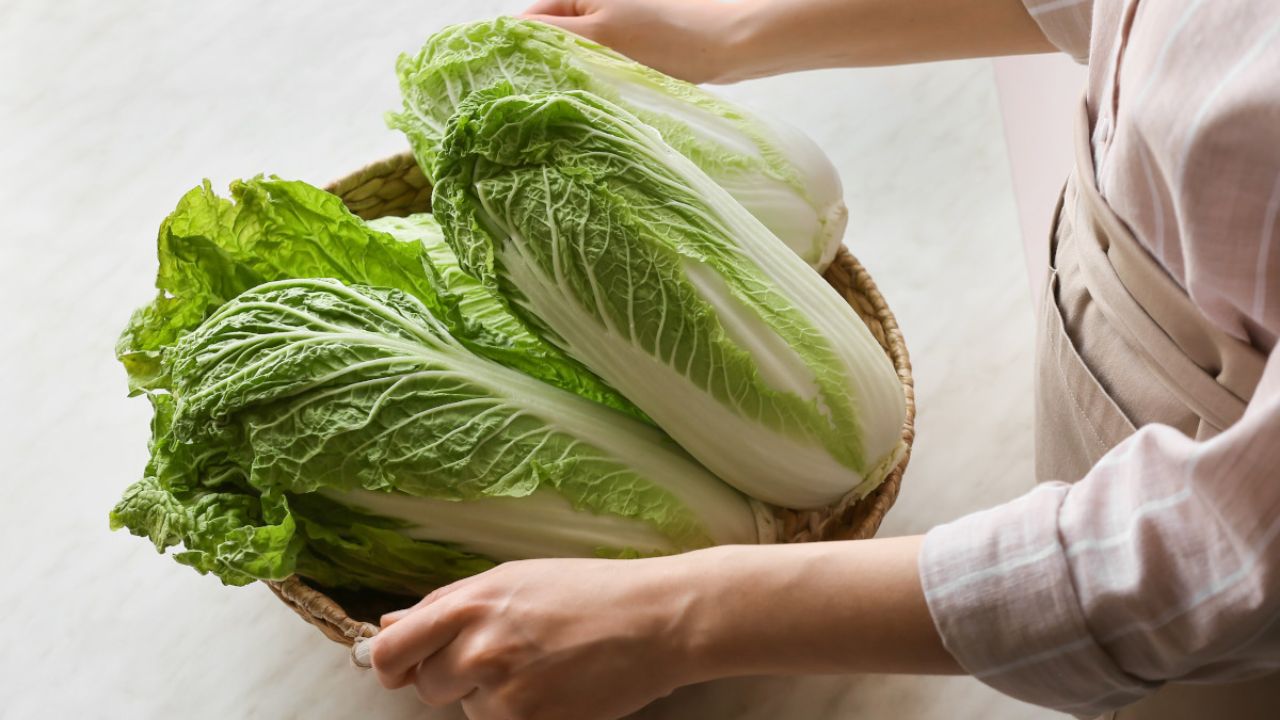  Cabbage Benefits: క్యాబేజీ తినడం వల్ల కలిగే అద్భుతమైన లాభాలు ఇవే!