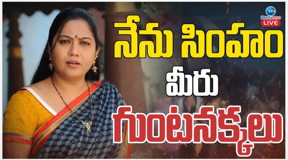 Actress Hema: నేను సింహం.. మీరంతా గుంటనక్కలు.. మరోసారి శివాలెత్తిన నటి హేమ..