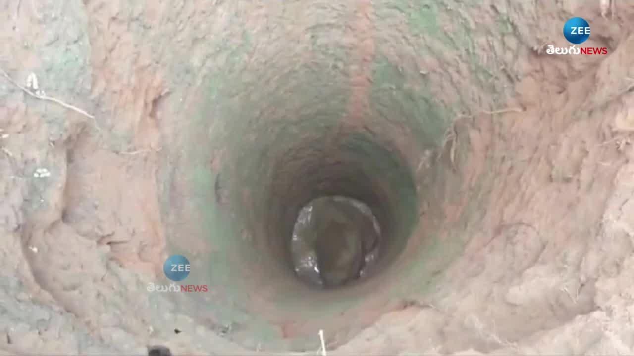 Nilgiri District Incident: A Baby Elephant Fell Into A 30 Feet Well In Kolapalli 