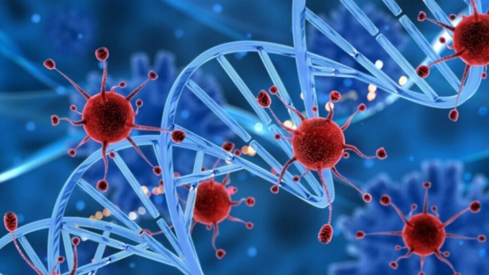 China Virus: భయంకరమైన వైరస్ సృష్టించిన చైనా.. సోకితే 3 రోజుల్లోనే మృత్యువాత