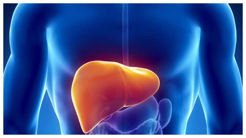 Liver Healthy: ఈ లివర్ హెల్తీ ఫుడ్‌ ఒక్కనెల తింటే పాడైన కాలేయం కూడా పనిచేయాల్సిందేట..