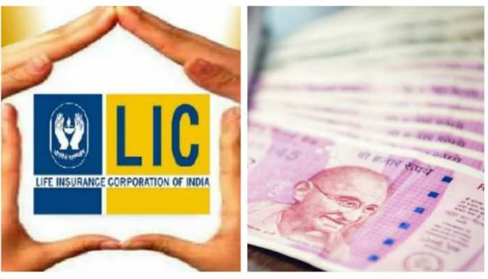 LIC Jeevan Anand Policy: రోజుకు 45 రూపాయలు ఇన్వెస్ట్ చేస్తే 25 లక్షలు అందుకోవచ్చు LIC Jeevan Anand Policy: రోజుకు 45 రూపాయలు ఇన్వెస్ట్ చేస్తే 25 లక్షలు అందుకోవచ్చు