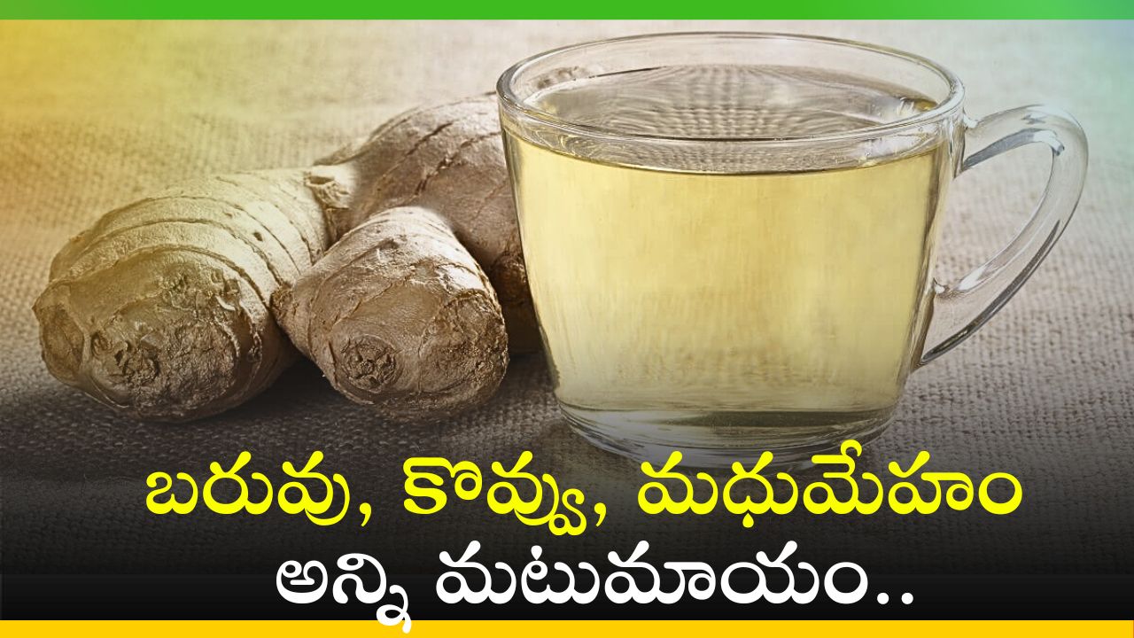 Ginger Water: ఉదయాన్నే ఖాళీ కడుపుతో దీన్ని తాగితే.. బరువు, కొవ్వు, మధుమేహం అన్ని మటుమాయం..