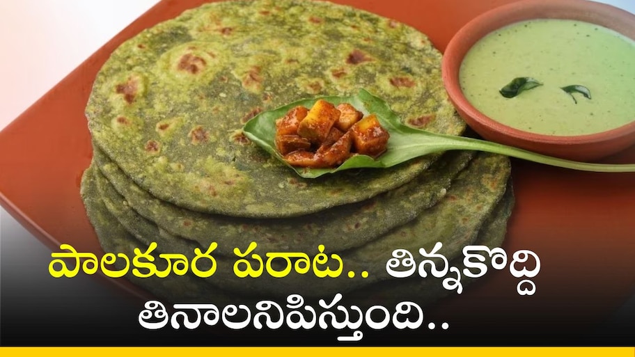 Palak Paratha: పాలకూర పరాట.. తిన్నకొద్ది తినాలనిపిస్తుంది.. ఆరోగ్యం కూడా.. 