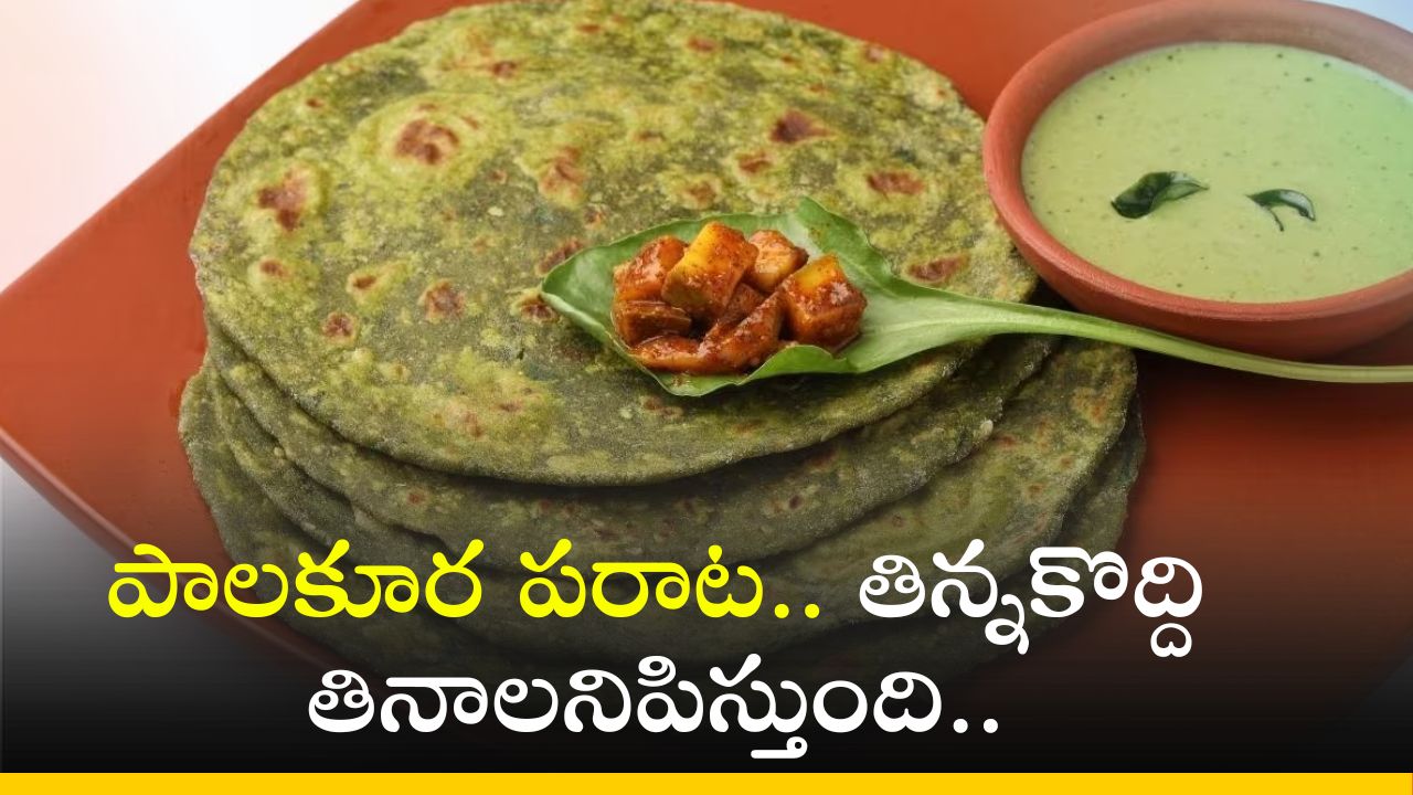 Palak Paratha: పాలకూర పరాట.. తిన్నకొద్ది తినాలనిపిస్తుంది.. ఆరోగ్యం కూడా.. Palak Paratha: పాలకూర పరాట.. తిన్నకొద్ది తినాలనిపిస్తుంది.. ఆరోగ్యం కూడా..