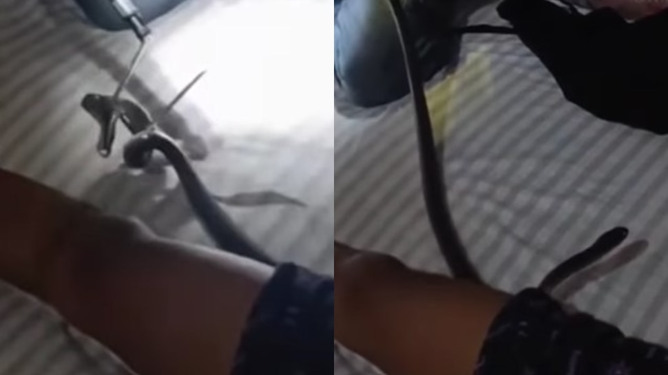 Snake Viral Video: కమ్మని నిద్రలో ఉండగా లోదుస్తుల్లోకి దూరిపోయిన పాము.. వీడియో వైరల్..