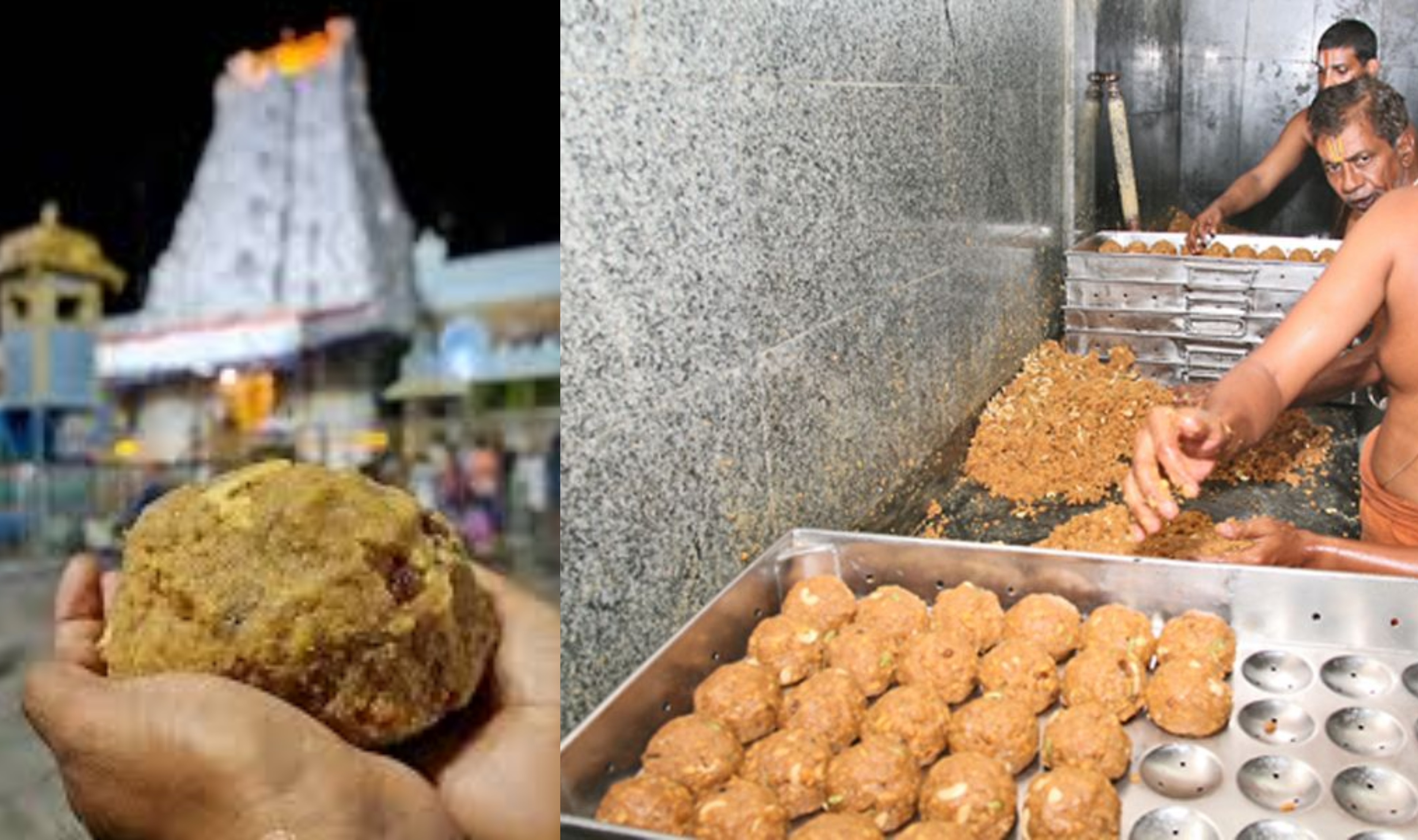 Tirupati Laddu: తిరుమల భక్తులకు గుడ్‌న్యూస్‌.. మరింత రుచి, నాణ్యతగా తిరుపతి లడ్డూ