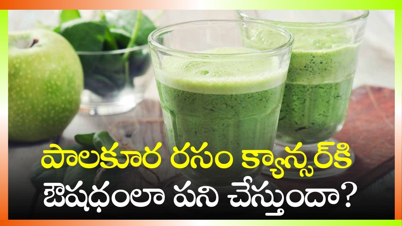  Spinach Juice Benefits: పాలకూర రసం క్యాన్సర్‌కి ఔషధంలా పని చేస్తుందా? ఇవి తప్పకుండా తెలుసుకోండి!