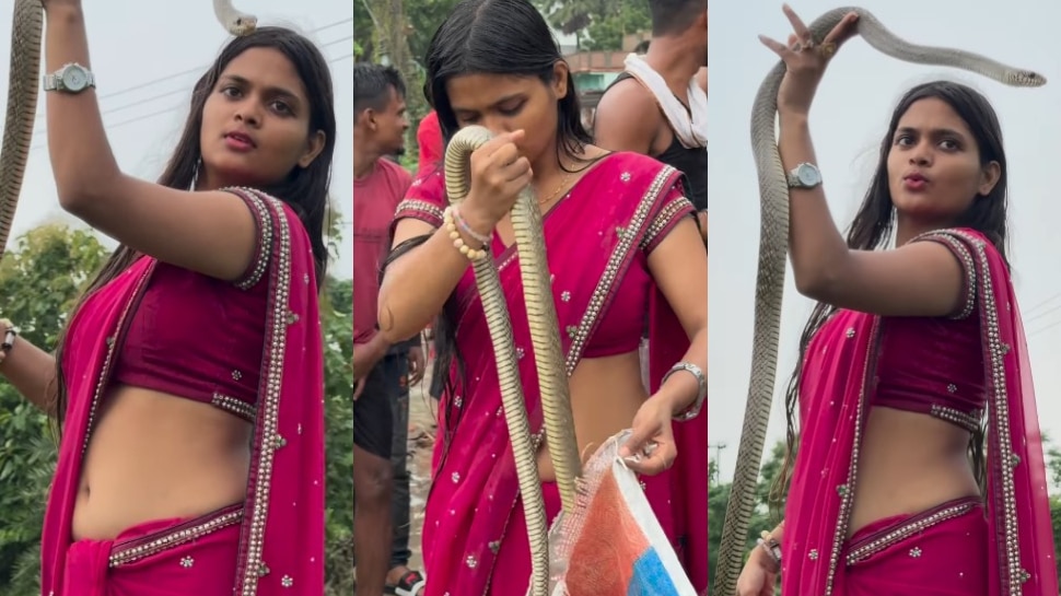 Venomous Snake: ఎర్రటి చీరలో వయ్యారంగా  పామును పట్టేసిన యువతి.. వీడియో వైరల్..