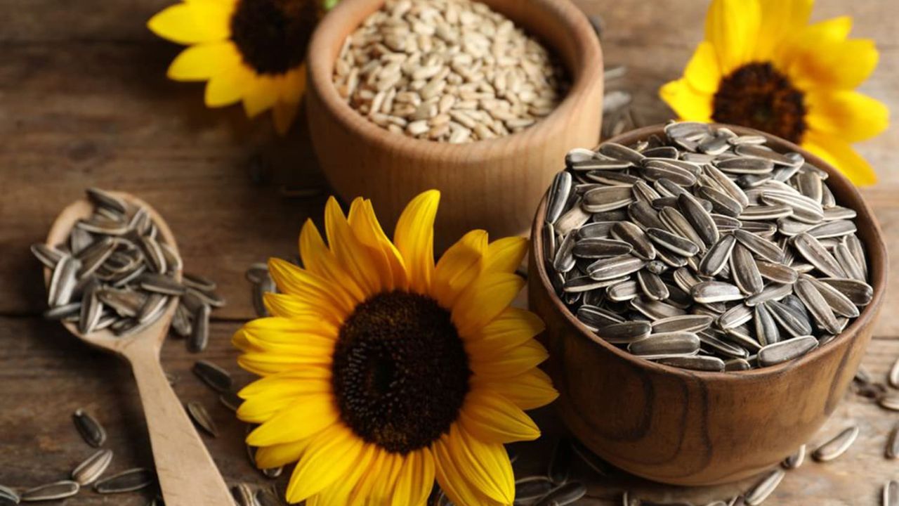 Sunflower Seeds: ఉదయాన్నే గుప్పెడు పొద్దుతిరుగుడు గింజలు తింటే ఇన్ని లాభాలు క‌లుగుతాయా..?