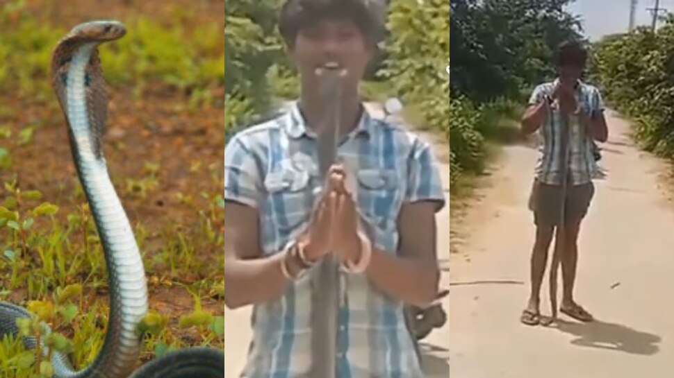 Snake in mouth Video: పామును నోట్లో పెట్టుకుని రీల్స్..కళ్లముందే షాకింగ్ ఘటన.. వీడియో వైరల్..