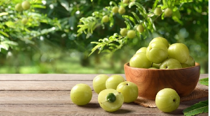 Amla 6 Benefits: ఉసిరి రోజూ తింటే శరీరంలో ఏమౌతుందో తెలుసా