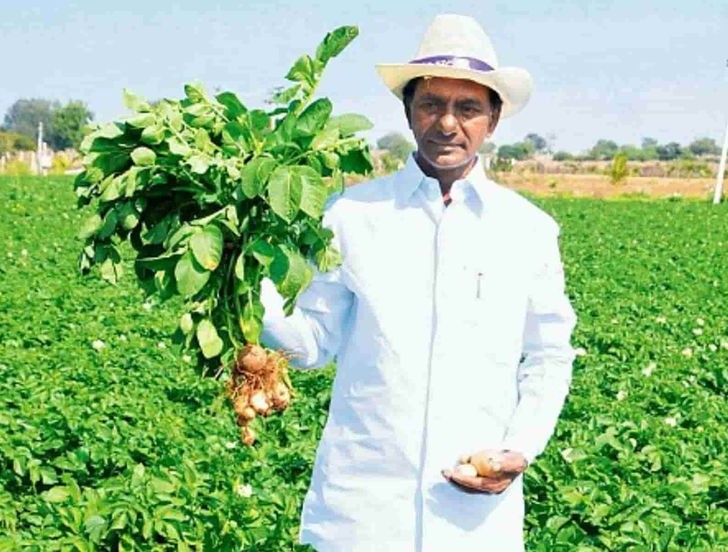 KCR Farmhouse: ఫాం హౌజ్ లో కేసీఆర్ చేస్తున్నది ఇదా..కేసీఆర్ ను చూసి షాక్ అవుతున్న క్యాడర్