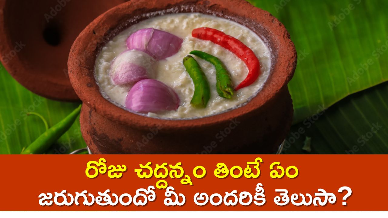 Chaddannam Benefits: రోజు చద్దన్నం తింటే ఏం జరుగుతుందో మీ అందరికీ తెలుసా?