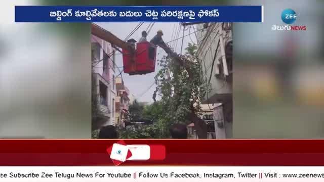 Hydra special focuses on trees in ghmc pa