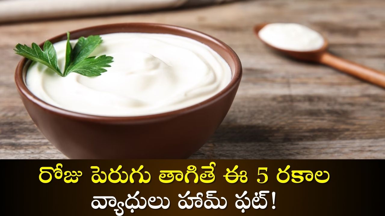 Curd Drinks Facts: రోజు పెరుగు తాగితే ఈ 5 రకాల వ్యాధులు హామ్‌ ఫట్!