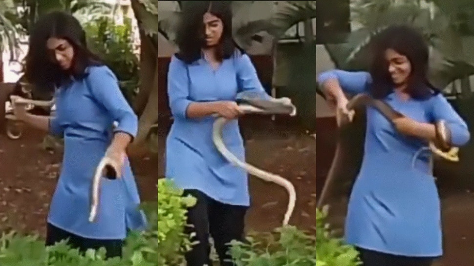 Snake Video: వడ్డానం అనుకుంటుందా ఏంటీ..?.. పామును నడుముకు చుట్టుకున్న యువతి.. షాకింగ్ వీడియో వైరల్..