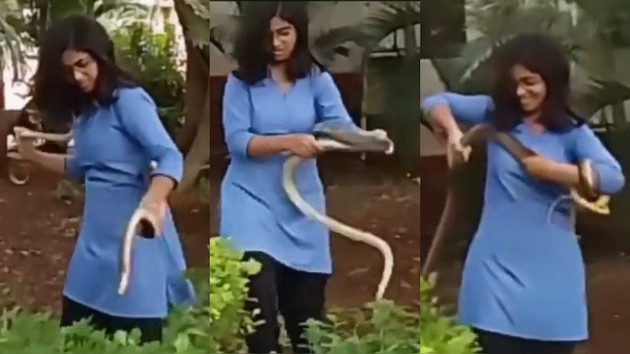 Snake Video: వడ్డానం అనుకుంటుందా ఏంటీ..?.. పామును నడుముకు చుట్టుకున్న యువతి.. షాకింగ్ వీడియో వైరల్..