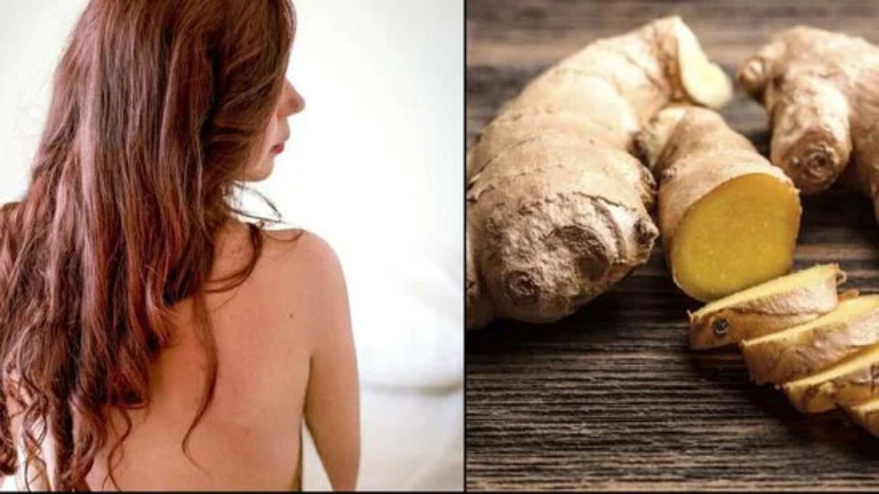 Ginger For Hair: అల్లం ఆయిల్ ను ఇలా జుట్టుకు రాస్తే.. అన్ని సమస్యలకు చెక్‌..!