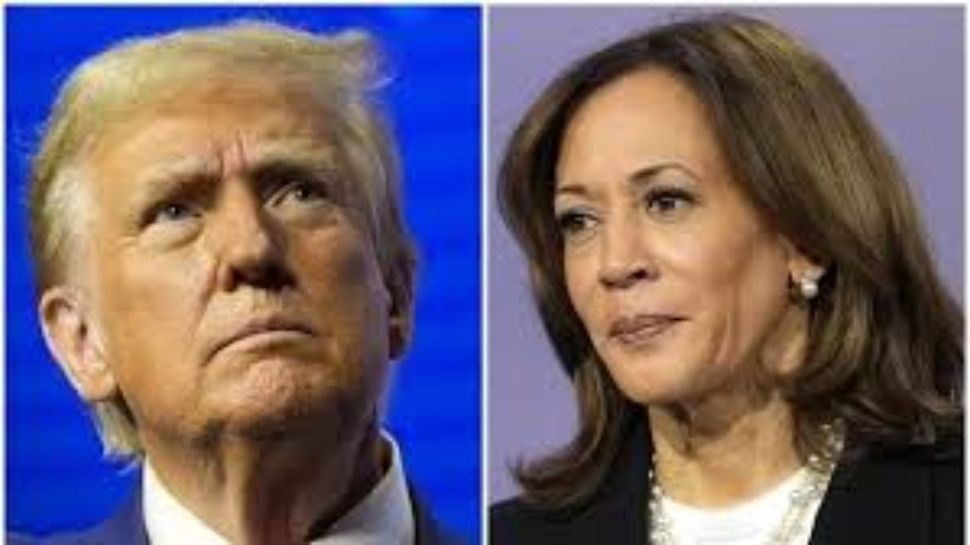 Trump vs Kamala Harris: అమెరికా అధ్యక్ష పదవి రేసులో ఎవరు గెలిస్తే భారతీయులకు మేలు జరుగుతుంది..? Trump vs Kamala Harris: అమెరికా అధ్యక్ష పదవి రేసులో ఎవరు గెలిస్తే భారతీయులకు మేలు జరుగుతుంది..?