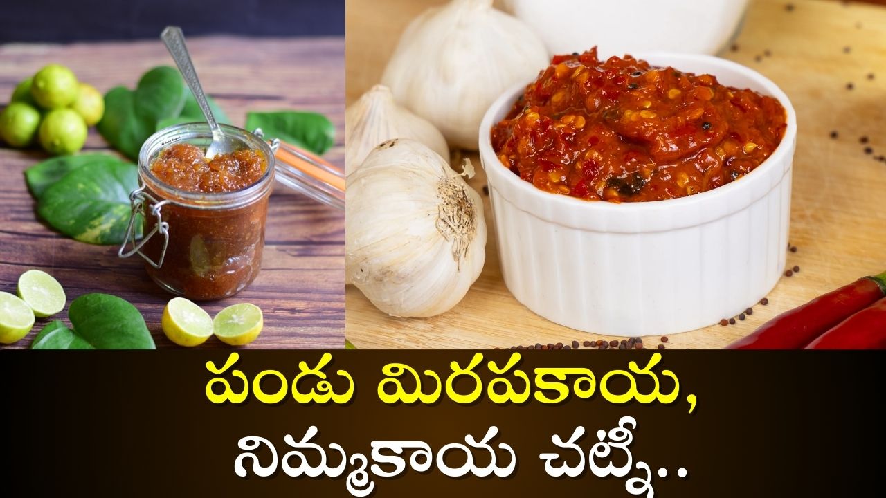 Pandu Mirchi Lemon Chutney: పండు మిరపకాయ, నిమ్మకాయ చట్నీ.. పైనుంచి నెయ్యి వేసుకొని తింటే రుచి వేరే లెవెల్..